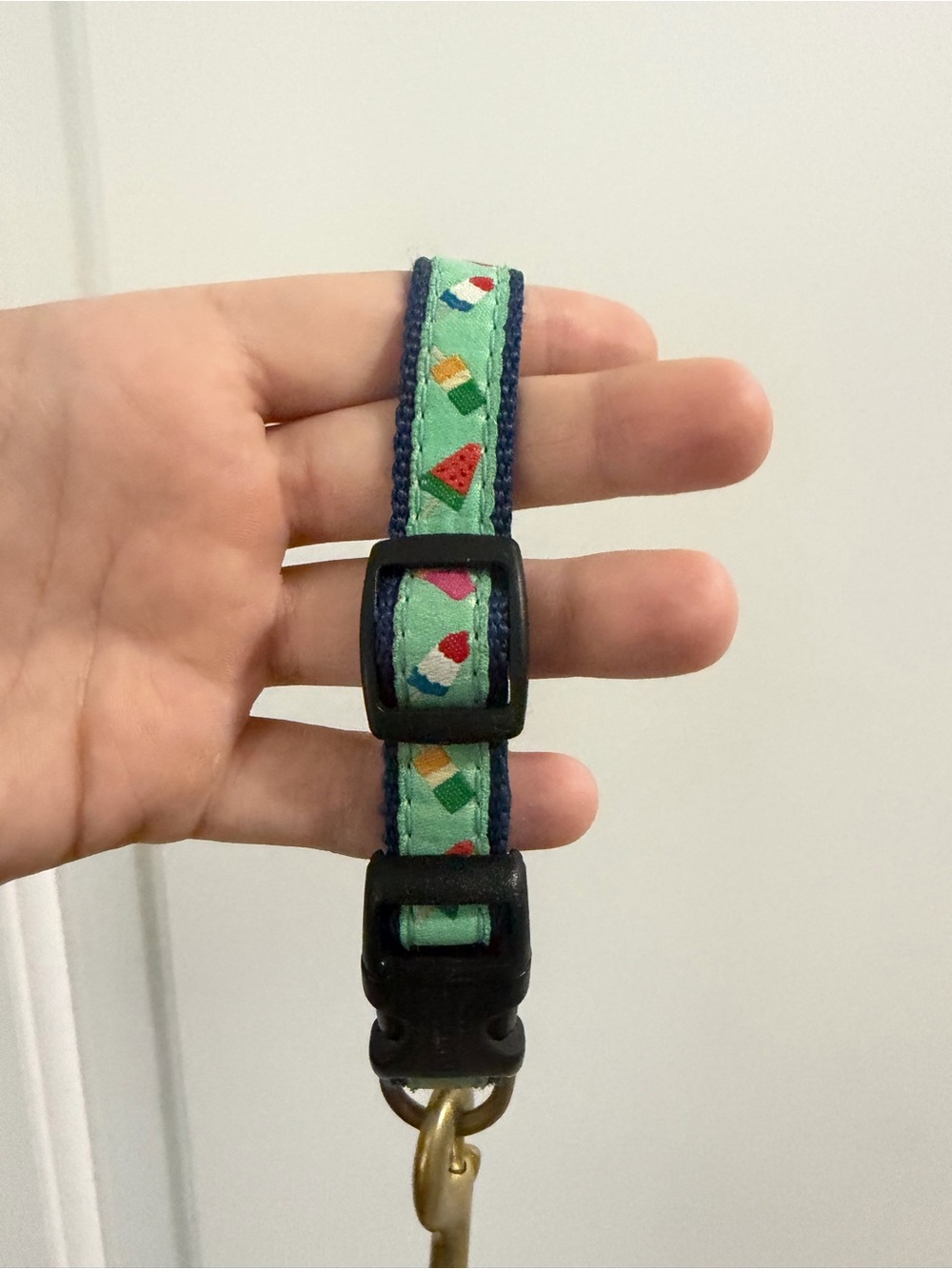 Upcountry Leash and Collar Set